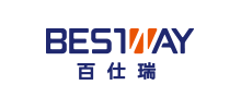 上海百仕瑞企业管理顾问有限公司logo